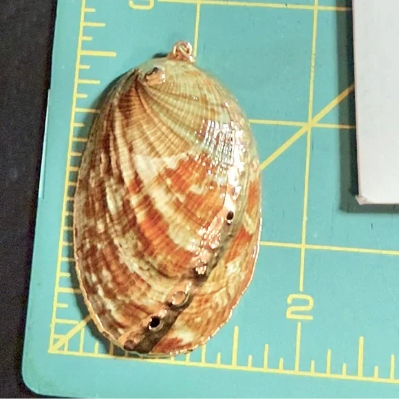 Vintage Abalone Shell Pendant With Gold Overlay EUC - Picture 8 of 8